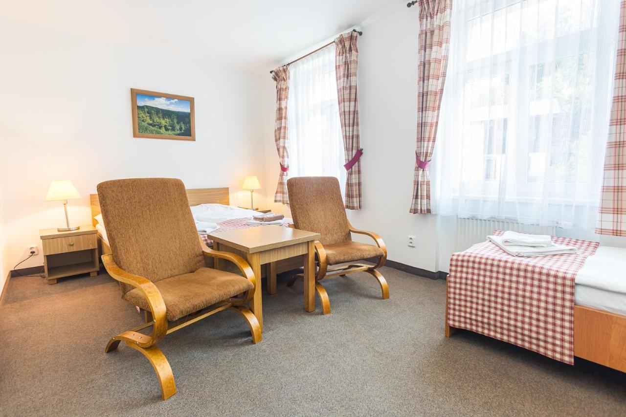 Hotel Seifert Nové Hamry Extérieur photo