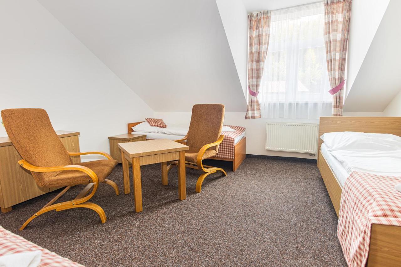 Hotel Seifert Nové Hamry Extérieur photo