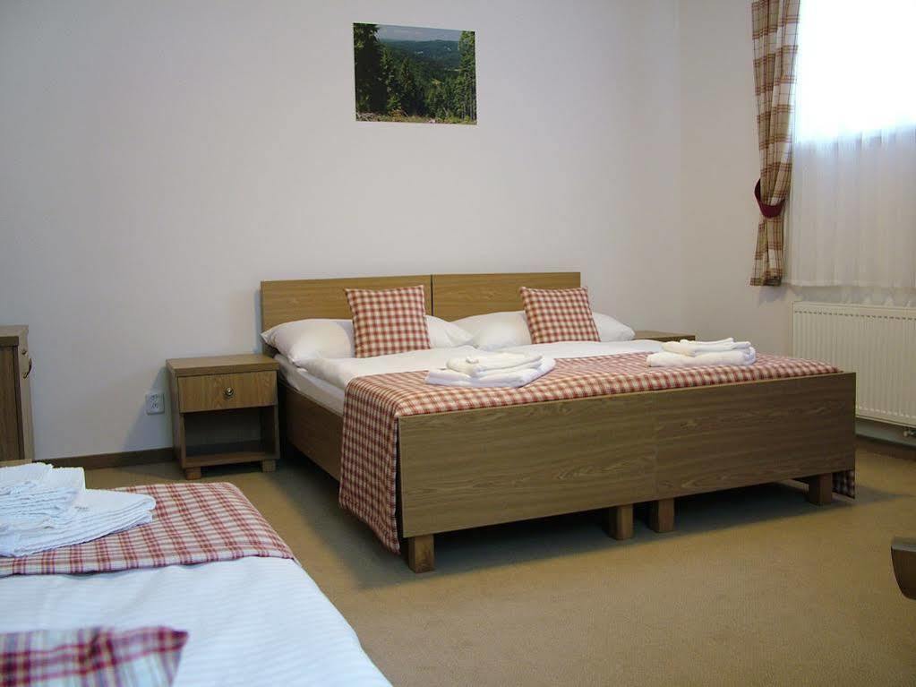 Hotel Seifert Nové Hamry Extérieur photo